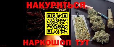 a pvp Гатчина