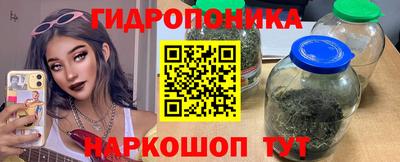 a pvp Гатчина