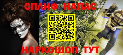 a pvp Гатчина