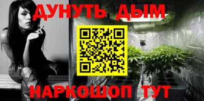 a pvp Гатчина