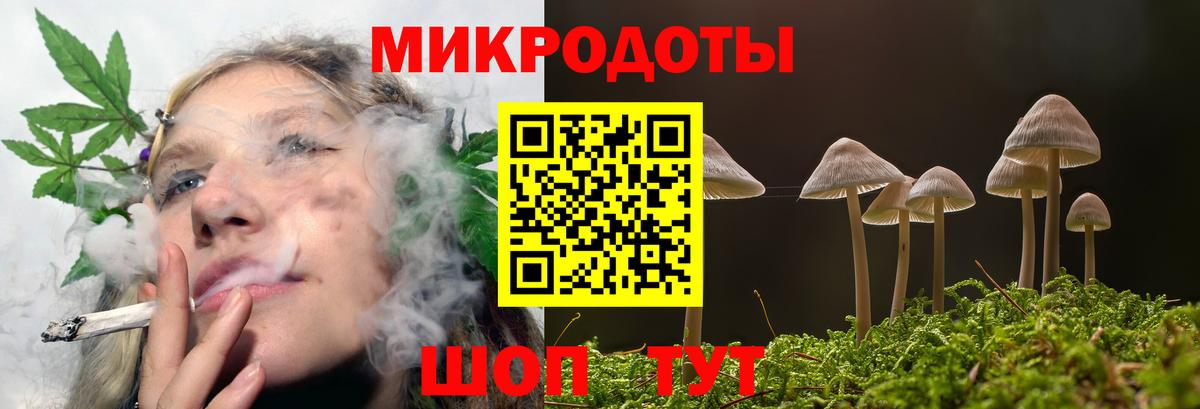 купить   Псилоцибиновые грибы GOLDEN TEACHER  Вход с VPN  Галлюциногенные грибы мицелий  Сыктывкар 
